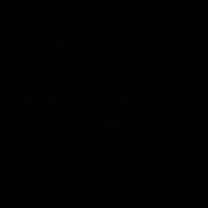 Meet your Posher, Allie